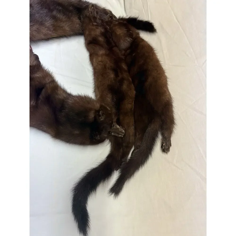 Vintage 4 Mink Fur Stole Pelts Scarfs Heads Full Body Taxidermy 1940s 1950s